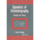 Dynamics of Chromatography: Principles and Theory