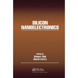 Silicon Nanoelectronics