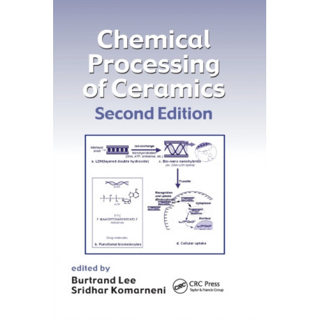 Chemical Processing of Ceramics