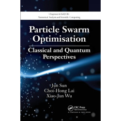 Particle Swarm Optimisation: Classical and Quantum Perspectives