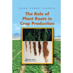 The Role of Plant Roots in Crop Production