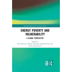 Energy Poverty and Vulnerability: A Global Perspective