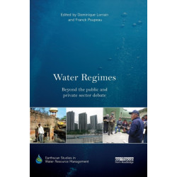 Water Regimes: Beyond the public and private sector debate