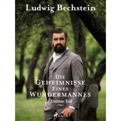 Die Geheimnisse eines Wundermannes - Dritter Teil