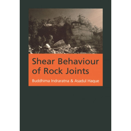 Shear Behaviour of Rock Joints