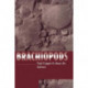 Brachiopods