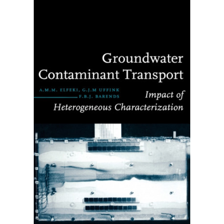 Groundwater Contaminant Transport: Impact of heterogenous characterization: a new view on dispersion