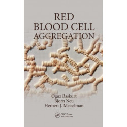 Red Blood Cell Aggregation
