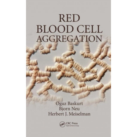 Red Blood Cell Aggregation