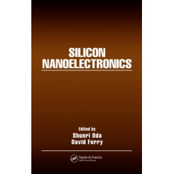 Silicon Nanoelectronics