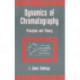 Dynamics of Chromatography: Principles and Theory
