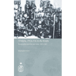 Tribal Politics in Iran: Rural Conflict and the New State, 1921-1941