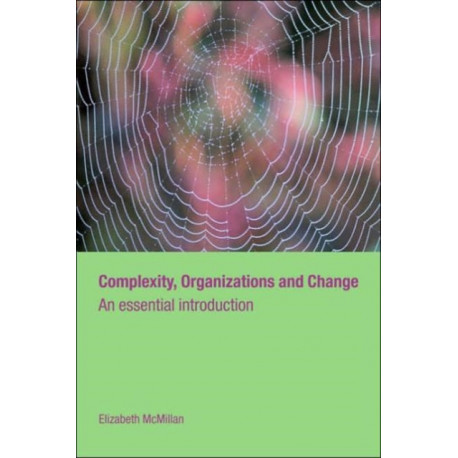 Complexity, Organizations and Change: An Essential Introduction