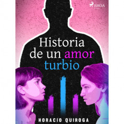 Historia de un amor turbio