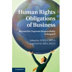 Human Rights Obligations of Business: Beyond the Corporate Responsibility to Respect?
