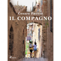 Il compagno