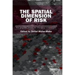 The Spatial Dimension of Risk: How Geography Shapes the Emergence of Riskscapes