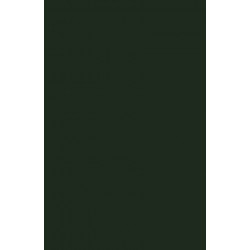 Immigrant Women's Lives: Weaving Garment Work and Legislative Policy