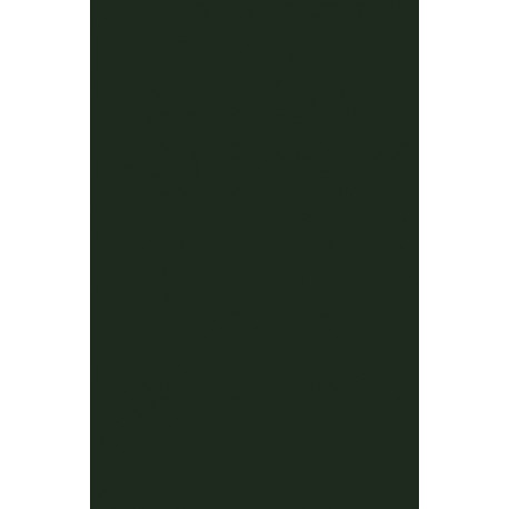 Immigrant Women's Lives: Weaving Garment Work and Legislative Policy