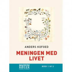 Meningen med livet (Storskrift)