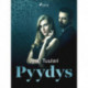 Pyydys