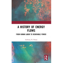 A History of Energy Flows: From Human Labor to Renewable Power