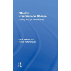 Effective Organizational Change: Leading Through Sensemaking