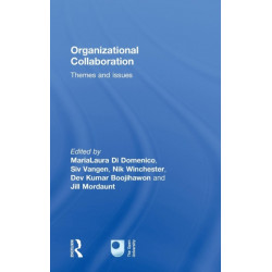 Organizational Collaboration: Themes and Issues