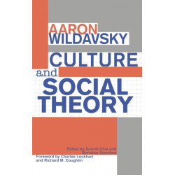 Culture and Social Theory