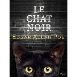 Le Chat noir