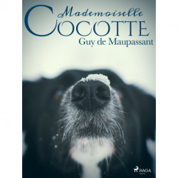 Mademoiselle Cocotte