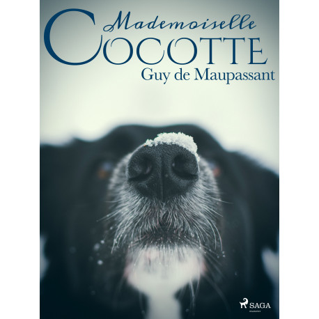 Mademoiselle Cocotte