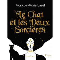 Le Chat et les Deux Sorcières