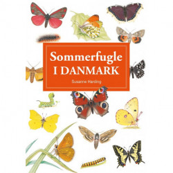 Sommerfugle i Danmark - display med 10 stk
