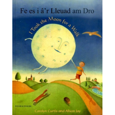 I Took the Moon for a Walk