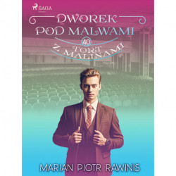 Dworek pod Malwami 40 - Tort z malinami