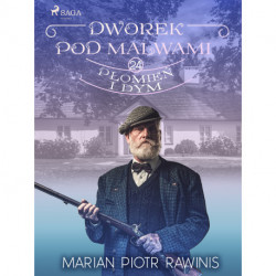 Dworek pod Malwami 24 - Płomień i dym