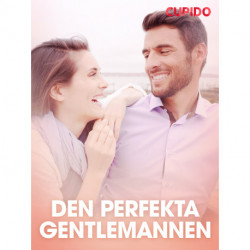 Den perfekta gentlemannen – erotisk novell