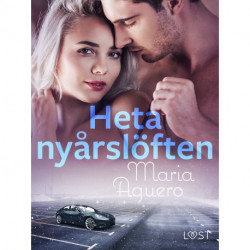 Heta nyårslöften - erotisk novell