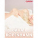 Bara i Köpenhamn – erotiska noveller
