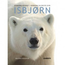 Isbjørn