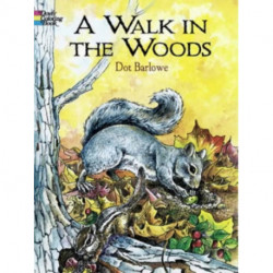 A A Walk in the Woods Coloring Book