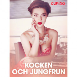 Kocken och jungfrun – erotisk novell