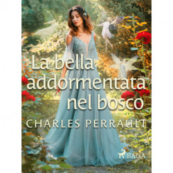 La bella addormentata nel bosco