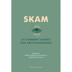 Skam: Et forsømt aspekt ved kristendommen