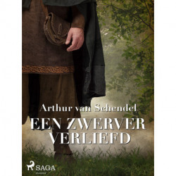 Een zwerver verliefd