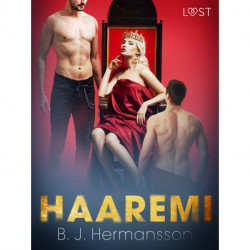 Haaremi - eroottinen novelli