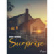 Surprise