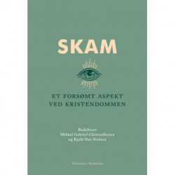 Skam: Et forsømt aspekt ved kristendommen