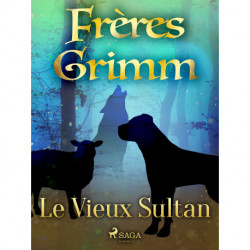 Le Vieux Sultan